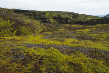 Plaine en islande avec herbes vertes et roche