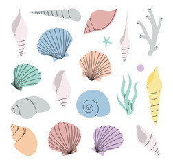 Set of sea shells. Tropical underwater shells. Sea mollusks, scallop, pearls. Vector illustration.