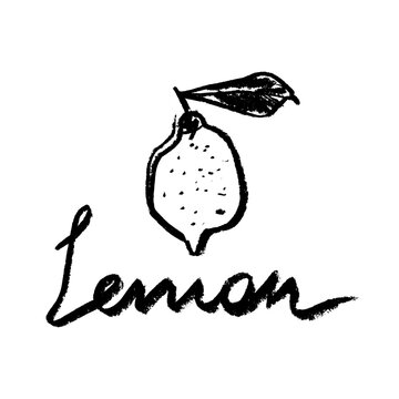Vector lemon symbol. Citrus fruit icon in trendy hand drawn doodle style. Black illustration for lime label, organic badge, lemon juice packaging design or website. Hand-lettering 