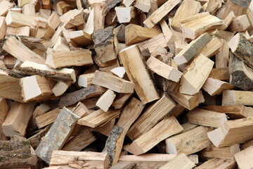 Brennholz für den nächsten Winter