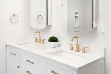 A bathroom with gold faucets, white vanity cabinet, a plant sitting on a white marble countertop, and a reflection of a picket tile shower in the mirror.