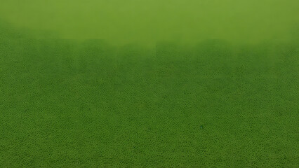green surface back ground
