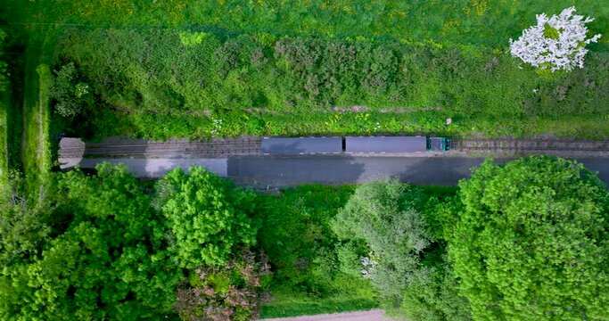 The train passes under a picturesque bridge wrapped in greenery 4k
