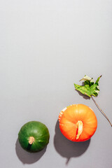 Colourful pumpkins and autumn leaf on grey background with sharp shadows. Fall concept. Top view, flat lay, copy space