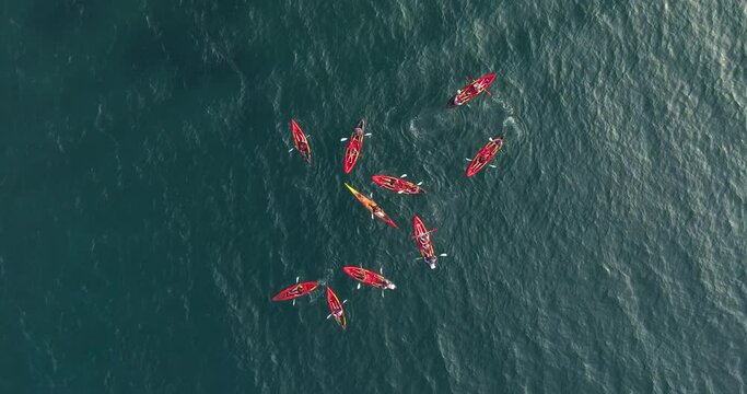 Aerial view above kayakers paddling in shallow, transparent waters in France - top down, drone shot