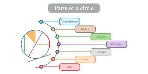 Parts of circle. Circles for kids. Radius, Diameter, Circumference, Chord, Arc, Tangent, Segment and sector. Mathematics resources for teachers and students.