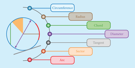 Parts of circle. Circles for kids. Radius, Diameter, Circumference, Chord, Arc, Tangent, Segment and sector. Mathematics resources for teachers and students.