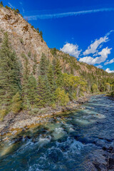 "The Animas River"