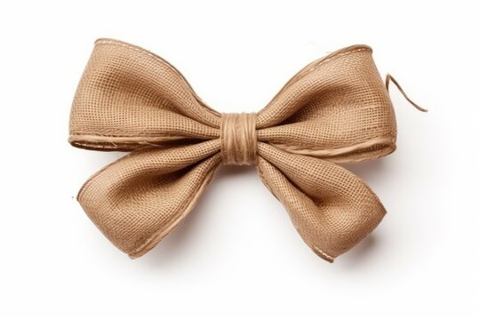 Isolated white string bow decoration parcel