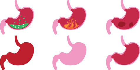 Set of Stomach icons. Human internal organs symbols. Colorful flat Digestive system anatomy. Vector illustration collection in flat style isolated on transparent background.