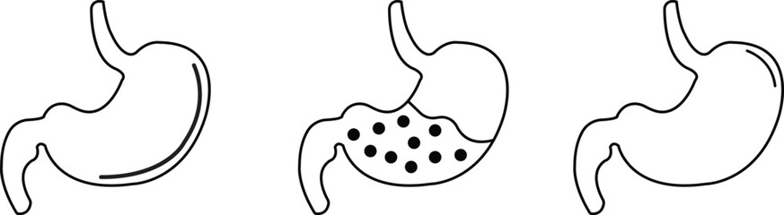 Set of Stomach icons. Human internal organs symbol with editable stock. Digestive system anatomy. Vector illustration collection in linear style isolated on transparent background.