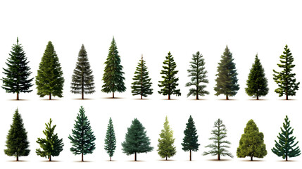 Christmas tree clipart set. Collection of green trees isolated on white background vector illustration set. Christmas card.