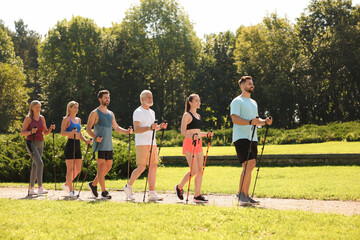 Obraz na płótnie Canvas Group of people practicing Nordic walking with poles in park on sunny day