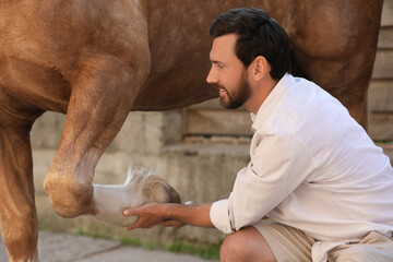Man examining horse leg outdoors. Pet care