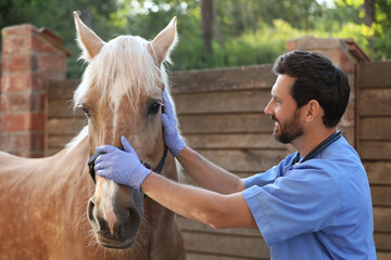 Veterinarian with adorable horse outdoors. Pet care