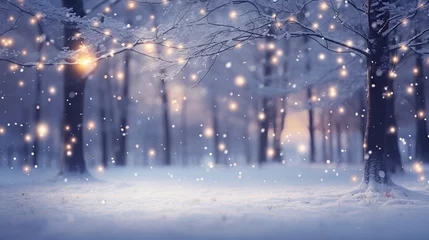 Foto op Plexiglas Twinkle winter forest scene © Ara Hovhannisyan