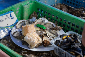 Fresh french Gillardeau oysters molluscs in wooden box ready to eat