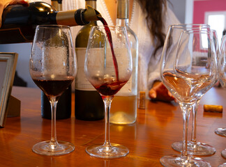Wine tasting in old wine domain, Saint Estephe village, Haut-Medoc vineyards in Bordeaux, left bank of Gironde Estuary, France, wine tour in Bordeaux