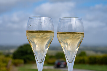 Tasting of grand cru sparkling white wine with bubbles champagne on chardonnay vineyards in Avize,  grand cru wine producer small village, Cote des Blancs, Champagne, France