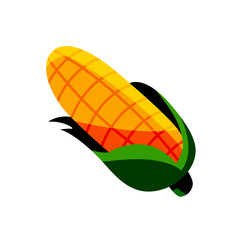 Vector green husks of yellow corn are used as a food ingredient