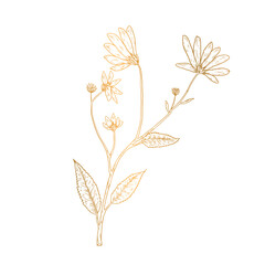Vector hand drawn golden leaves illustration