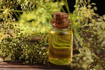 Bottle of essential oil and fresh dill on wooden table, closeup