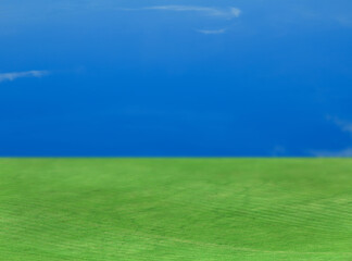 Beautiful lawn with green grass under bright blue sky