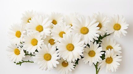Portrait beautiful white daisy flower isolated on white background AI Generative