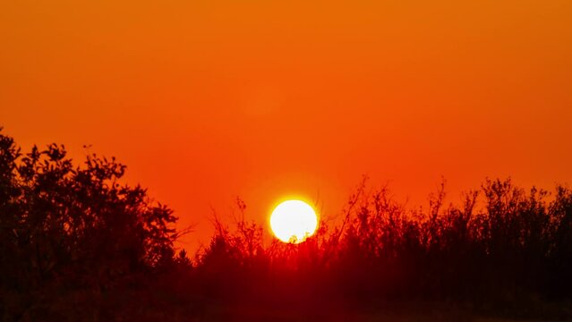 Enormous round Sunset or sunrise at a hill in the rural countryside. Red-orange sky atmosphere with silhouette trees and mountains background. Cloudscape timelapse natural landscape 4k b-roll footage.