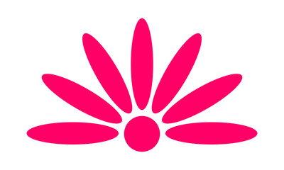 pink flower isolated on white background