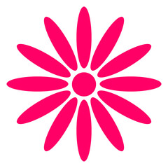 flower on white background