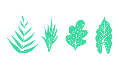 Vector abstract tropical leaves on white background