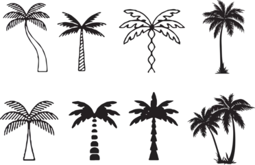 Foto op Canvas set of different icons set of palm tree or Arecaceae, propical branch, beach, bush, tropical © irene