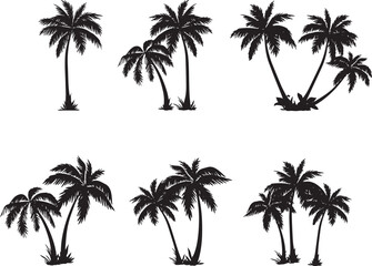 icon set set of palm tree or Arecaceae, propical branch, beach, bush 