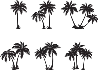 Poster icon set set of palm tree or Arecaceae, propical branch, beach, bush  © irene