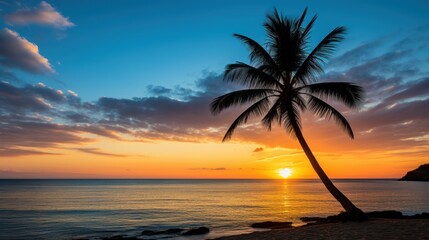 Lone palm silhouetted against a sunrise on a tranquil beach