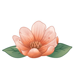 Cute floral flower watercolor illustration