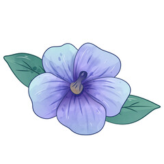 Cute floral flower watercolor illustration