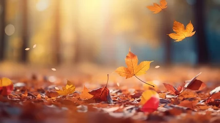 Foto auf Alu-Dibond Beautiful bokeh autumn background, Abstract background of autumn leaves in the rays of sunlight in the autumn, close-up of a macro. A picturesque colorful artistic image with a soft focus. © Julia