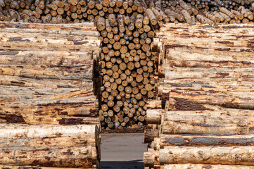 Logs, or Lumber, stacked at Port ready for export from New Zealand.