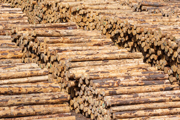 Logs, or Lumber, stacked at Port ready for export from New Zealand.