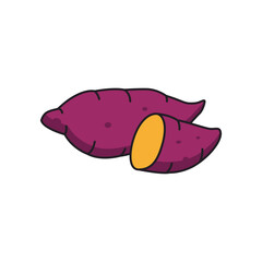 Sweet potato icon. Cartoon illustration of sweet potato vector icon for web