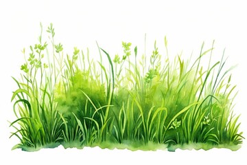 Generative AI : Green lush grass. Hand drawn watercolor illustration. 