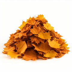 Bunch of fall leaves on isolated white background - ai generative