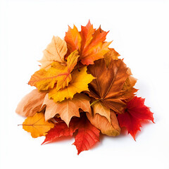 Naklejka na ściany i meble Bunch of fall leaves on isolated white background - ai generative