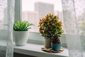 Artificial flowers on the windowsill in the apartment. A bump is like a decoration in the interior. White tulle