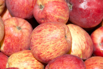 Close up on pile of freshly picked Red Delicious apples for sale at Farmers Market.