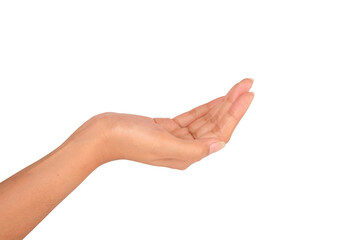 Female hands showing open hand gesture