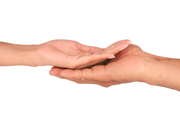 Female hands showing open hand gesture