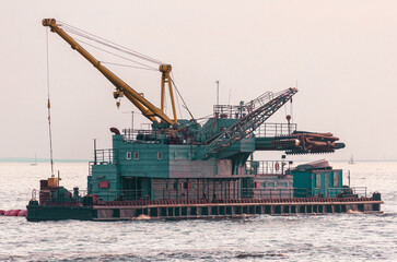 Fototapeta premium A sea crane stands on the water